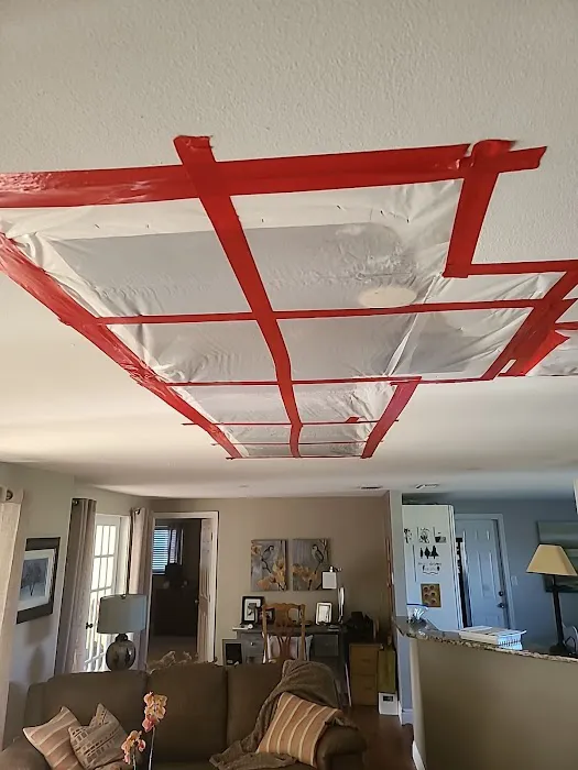 Affordable Mold Removal Experts Picture 6