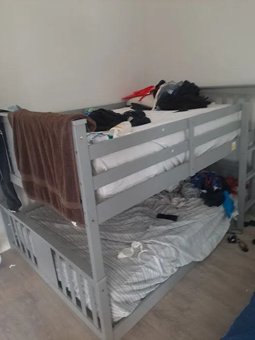 Affordable Mold Removal Experts Picture 4