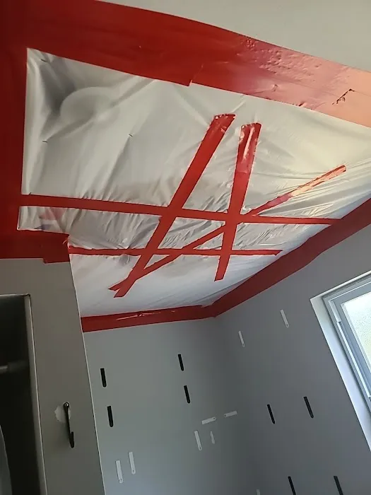 Affordable Mold Removal Experts Picture 9