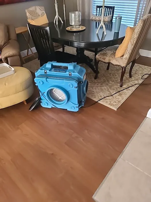 Affordable Mold Removal Experts Picture 5