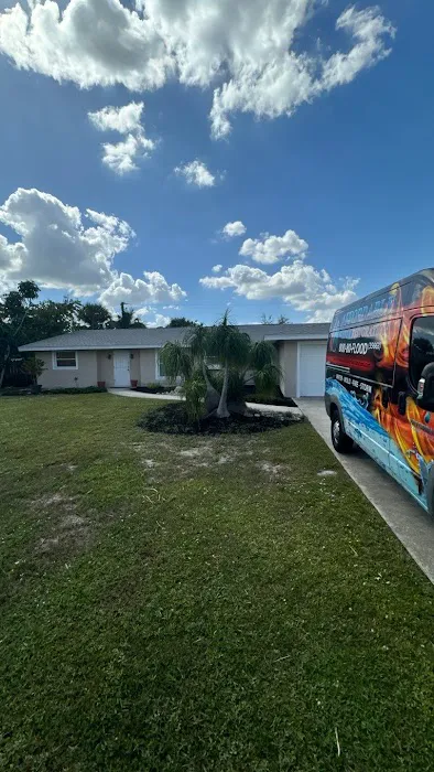 Affordable Mold Removal Experts Picture 8