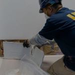 Mosar Water Damage