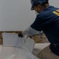 Mosar Water Damage ico