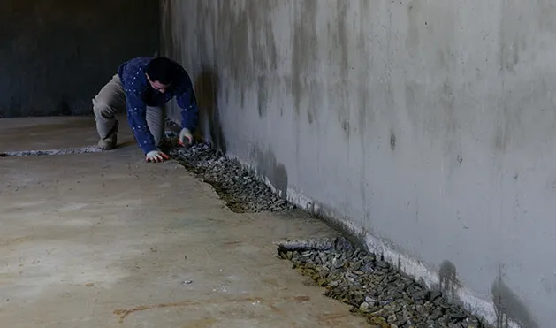 Mosar Water Damage Picture 6