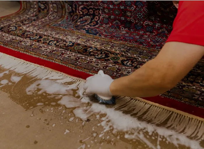 Mosar Water Damage Picture 2