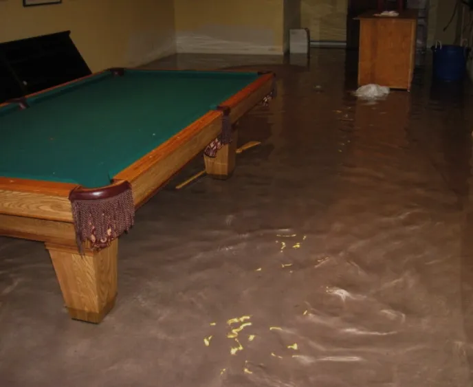 Mosar Water Damage Picture 5