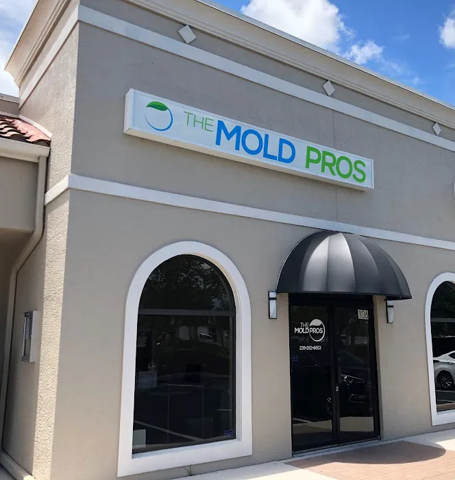 The Mold Pros of Florida Picture 10