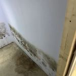 iMold Cleaning and Restoration - Water Damage and Mold Removal Specialists