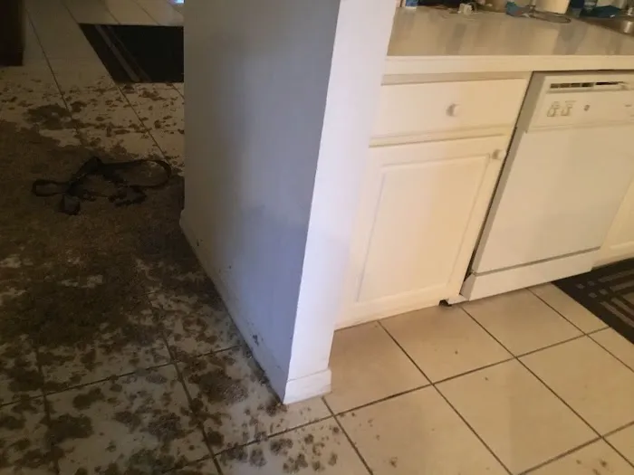 SERVPRO of Central Ft. Myers Picture 1