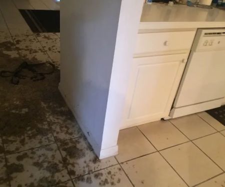 SERVPRO of Central Ft. Myers