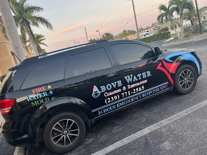 Above Water Cleaning Picture 10