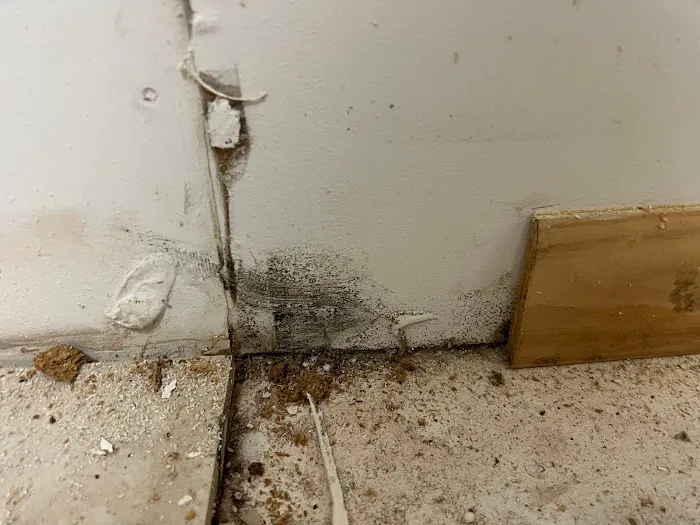 MoldRF - Mold Remediation Lee County | Water Restoration Picture 5