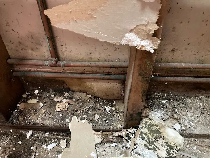 Water Damage Cleanup Team Picture 2