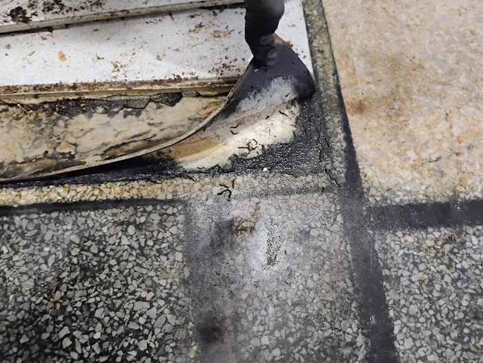 Paradise Coast Restoration Inc Picture 1