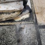 Paradise Coast Restoration Inc