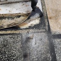 Paradise Coast Restoration Inc ico