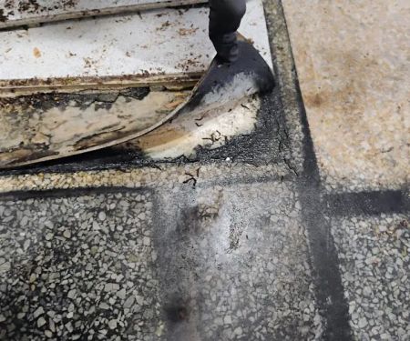 Paradise Coast Restoration Inc