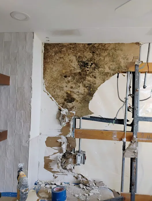 Paradise Coast Restoration Inc Picture 3