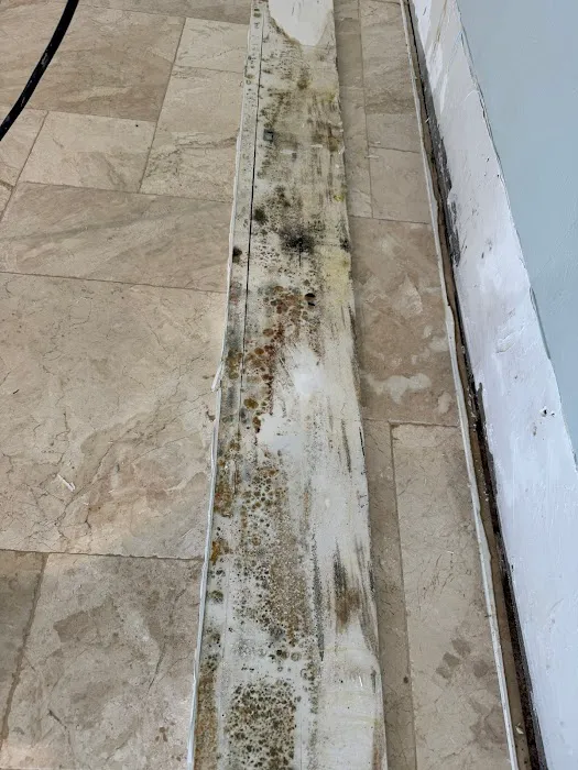 Paradise Coast Restoration Inc Picture 5