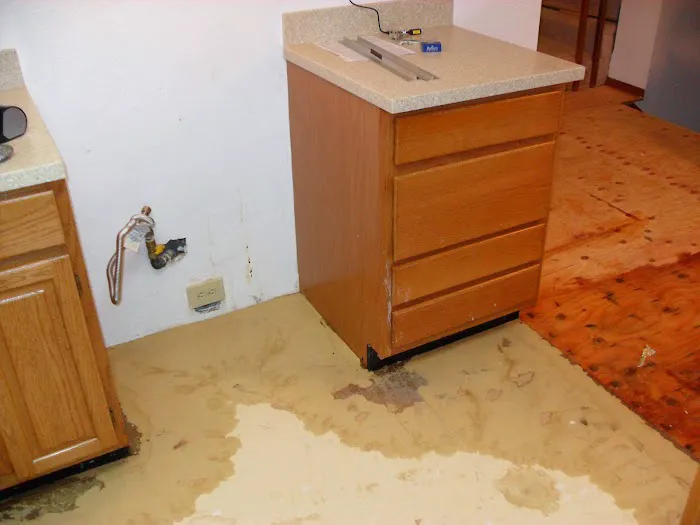 Rescue 911 Picture 8