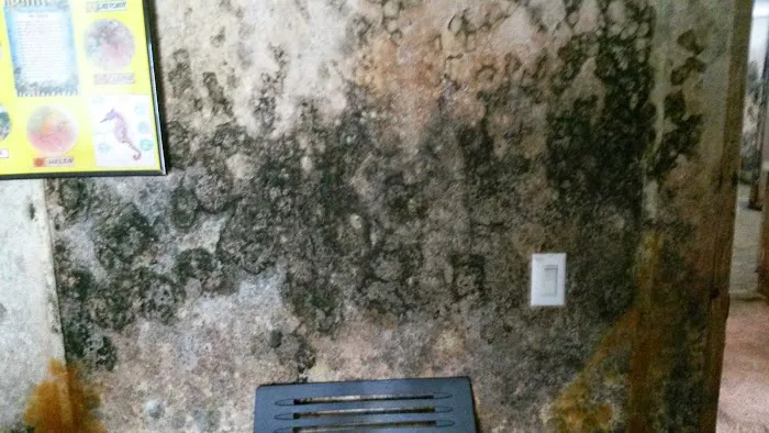 Rescue 911 Picture 9