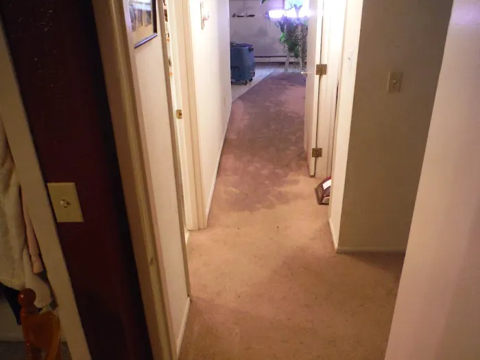 Rescue 911 Picture 6