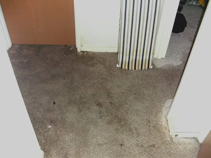 Rescue 911 Picture 3