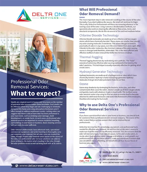 Delta One Services, Inc. Picture 4