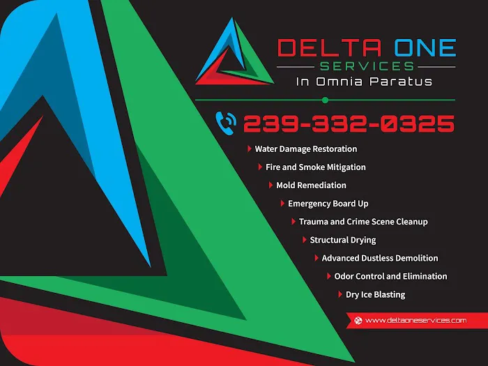 Delta One Services, Inc. Picture 1