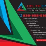 Delta One Services, Inc.