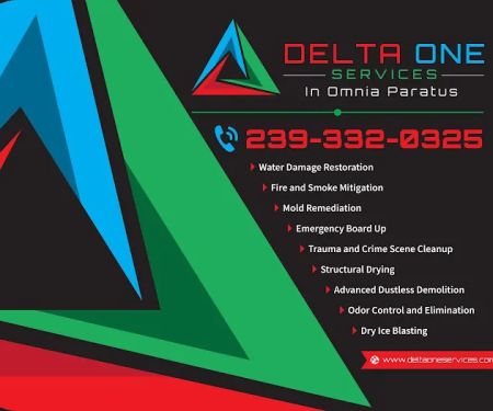Delta One Services, Inc.