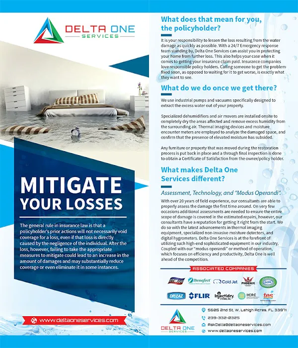 Delta One Services, Inc. Picture 7