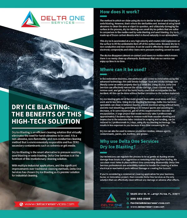 Delta One Services, Inc. Picture 10