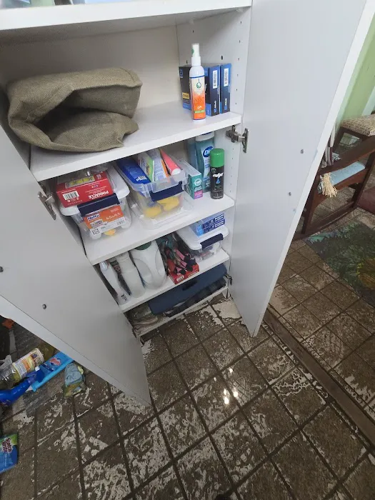 Crisis Pro Restoration Picture 2