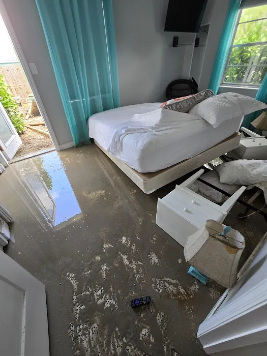 Crisis Pro Restoration Picture 5