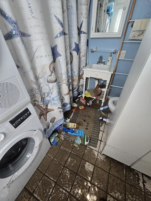 Crisis Pro Restoration Picture 6