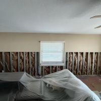 Crisis Pro Restoration ico