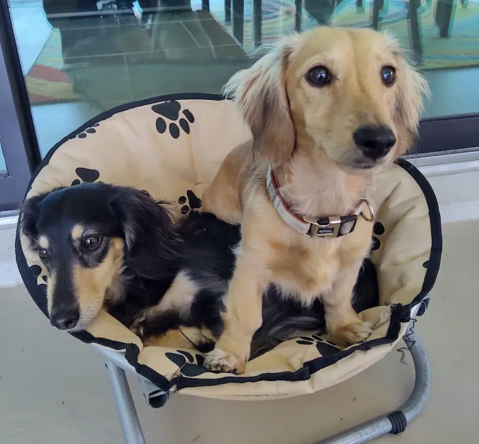 Local Water Damage Restoration FL Picture 8