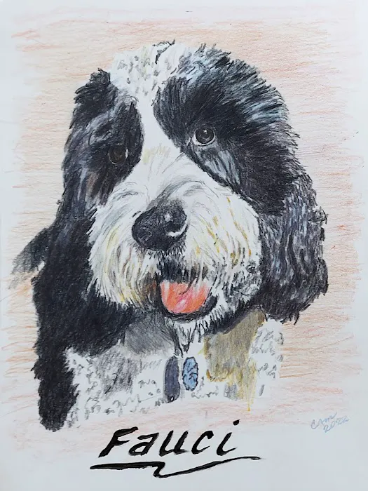 Local Water Damage Restoration FL Picture 9