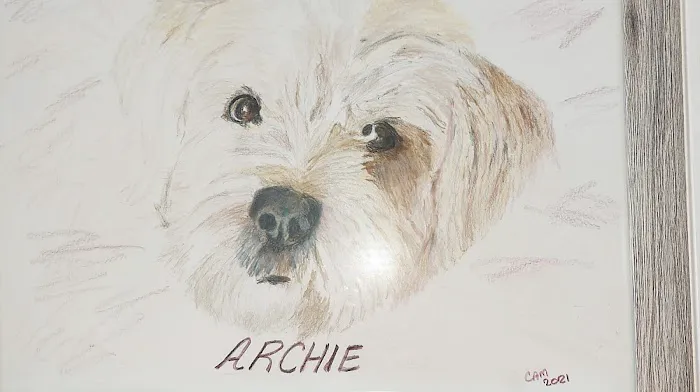 Local Water Damage Restoration FL Picture 1