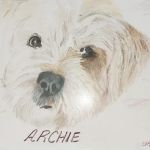 Local Water Damage Restoration FL