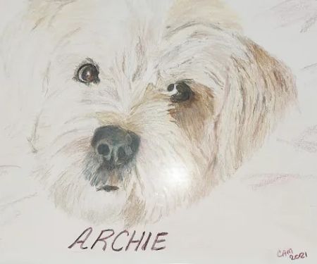 Local Water Damage Restoration FL