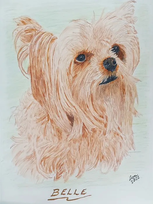 Local Water Damage Restoration FL Picture 10