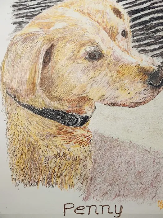 Local Water Damage Restoration FL Picture 4