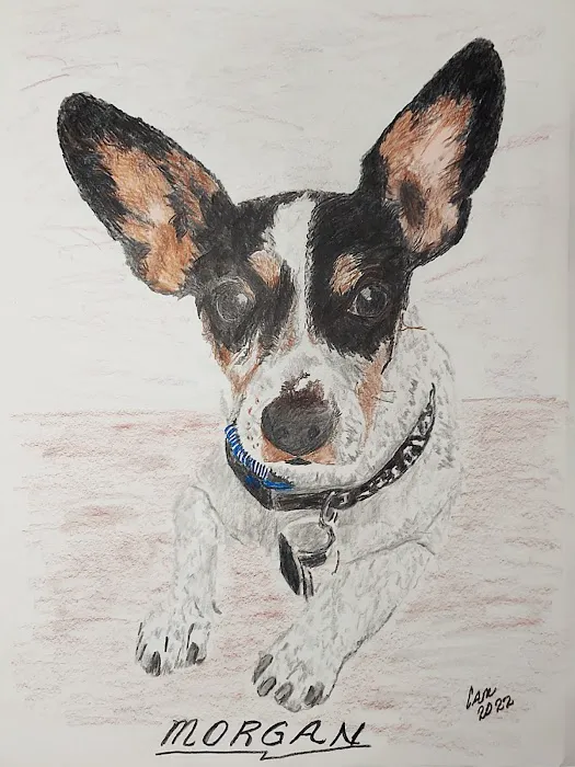 Local Water Damage Restoration FL Picture 3