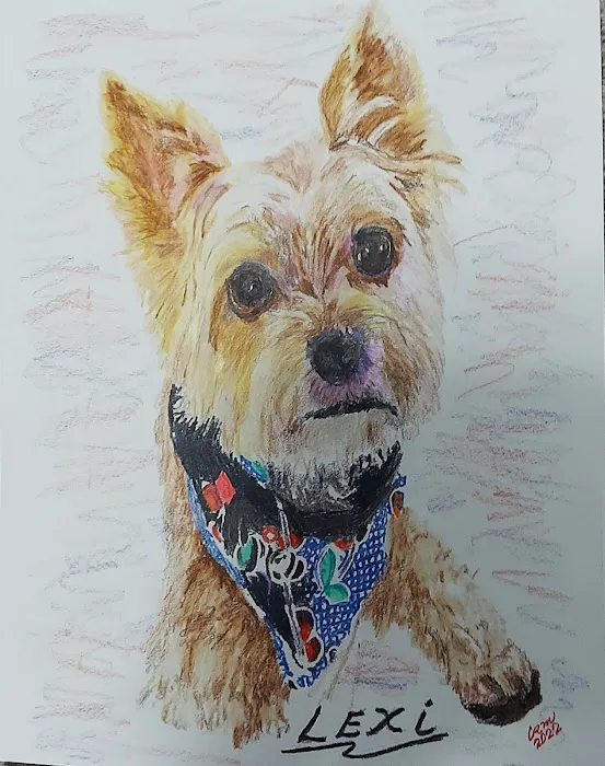 Local Water Damage Restoration FL Picture 7