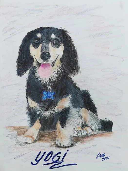 Local Water Damage Restoration FL Picture 2