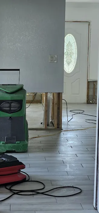 Mold Experts of SWFL Picture 2