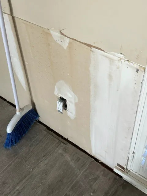 Mold Experts of SWFL Picture 6