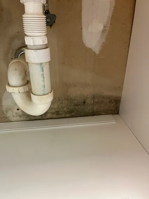 Mold Experts of SWFL Picture 5